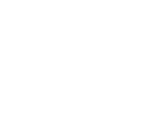 Fly Casper C logo element